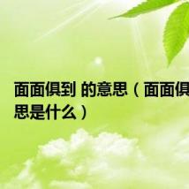 面面俱到 的意思（面面俱到的意思是什么）