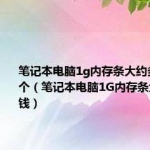 笔记本电脑1g内存条大约多少钱一个（笔记本电脑1G内存条大约多少钱）