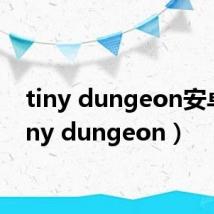 tiny dungeon安卓（tiny dungeon）