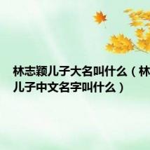 林志颖儿子大名叫什么（林志颖的儿子中文名字叫什么）