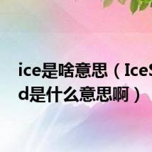 ice是啥意思（IceSword是什么意思啊）