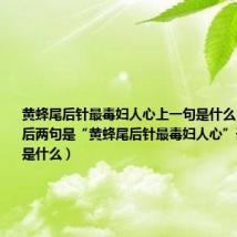 黄蜂尾后针最毒妇人心上一句是什么（有一首诗后两句是“黄蜂尾后针最毒妇人心”请问前两句是什么）