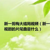 新一剪梅大结局视频（新一剪梅电视剧的片尾曲是什么）