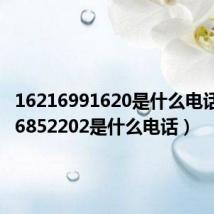 16216991620是什么电话（0196852202是什么电话）