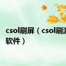 csol刷屏（csol刷游戏币软件）