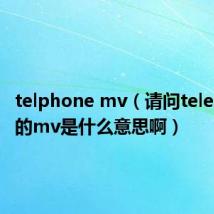 telphone mv（请问telephone的mv是什么意思啊）