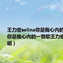 王力宏selina你是我心内的一首歌（你是我心内的一首歌王力宏和谁对唱）