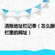 清除地址栏记录（怎么删除地址栏里的网址）