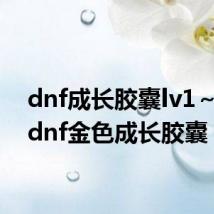 dnf成长胶囊lv1～99（dnf金色成长胶囊）