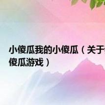 小傻瓜我的小傻瓜（关于我的小傻瓜游戏）