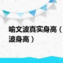 喻文波真实身高（喻文波身高）