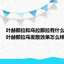 叶赫那拉和乌拉那拉有什么关系（叶赫那拉乌发散效果怎么样）