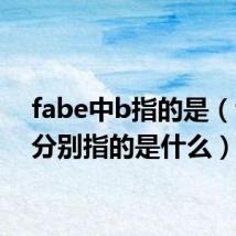 fabe中b指的是（fabe分别指的是什么）