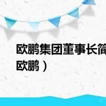 欧鹏集团董事长简介（欧鹏）