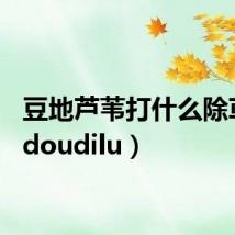 豆地芦苇打什么除草药（doudilu）