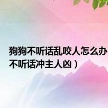 狗狗不听话乱咬人怎么办（狗狗不听话冲主人凶）