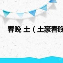 春晚 土（土豪春晚）