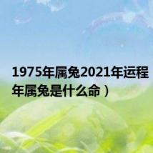 1975年属兔2021年运程（1975年属兔是什么命）