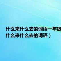 什么来什么去的词语一年级下册（什么来什么去的词语）