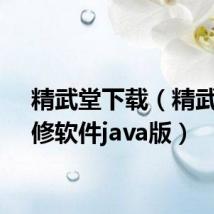 精武堂下载（精武堂自修软件java版）