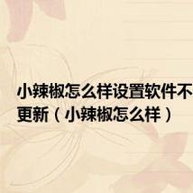 小辣椒怎么样设置软件不会自动更新（小辣椒怎么样）