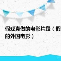 假戏真做的电影片段（假戏真做的外国电影）