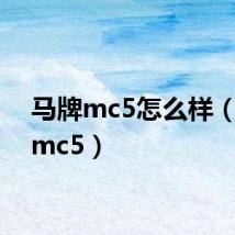 马牌mc5怎么样（马牌mc5）