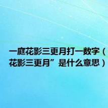 一庭花影三更月打一数字（“一庭花影三更月”是什么意思）