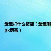 武魂打什么技能（武魂哪个职业pk厉害）