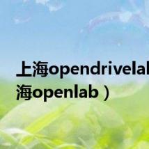 上海opendrivelab（上海openlab）