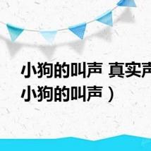 小狗的叫声 真实声音（小狗的叫声）