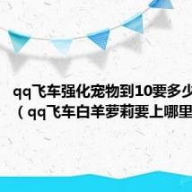 qq飞车强化宠物到10要多少强化卡（qq飞车白羊萝莉要上哪里强化）