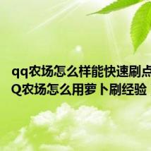 qq农场怎么样能快速刷点券（QQ农场怎么用萝卜刷经验）