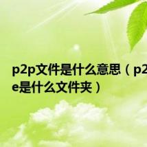 p2p文件是什么意思（p2pcache是什么文件夹）