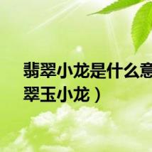 翡翠小龙是什么意思（翠玉小龙）