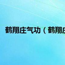 鹤翔庄气功（鹤翔庄）