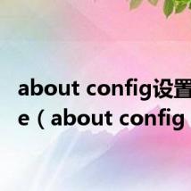 about config设置成true（about config）