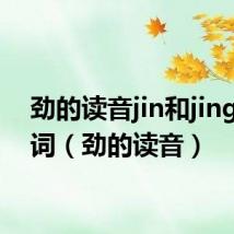 劲的读音jin和jing的组词（劲的读音）