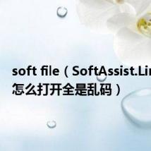 soft file（SoftAssist.Link文件怎么打开全是乱码）