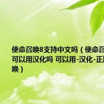 使命召唤8支持中文吗（使命召唤8正版可以用汉化吗 可以用-汉化-正版-使命召唤）