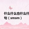 什么什么也什么什么造句（smsm）