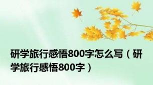 研学旅行感悟800字怎么写（研学旅行感悟800字）