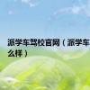 派学车驾校官网（派学车驾校怎么样）