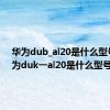 华为dub_al20是什么型号（华为duk一al20是什么型号）