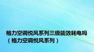 格力空调悦风系列三级能效耗电吗（格力空调悦风系列）