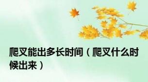 爬叉能出多长时间（爬叉什么时候出来）