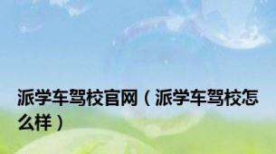 派学车驾校官网（派学车驾校怎么样）