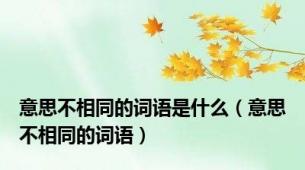 意思不相同的词语是什么（意思不相同的词语）