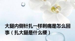 大腿内侧针扎一样刺痛是怎么回事（扎大腿是什么梗）