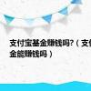 支付宝基金赚钱吗?（支付宝基金能赚钱吗）